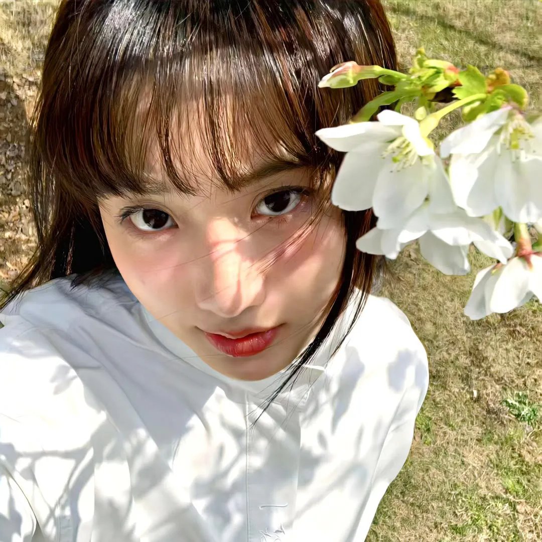 会长的贴身校花